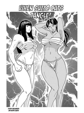 When Sumo Cats Tangle [Excalib]
