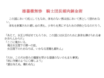 雄薔薇無惨 騎士団長媚肉錬金術 [金目堂]