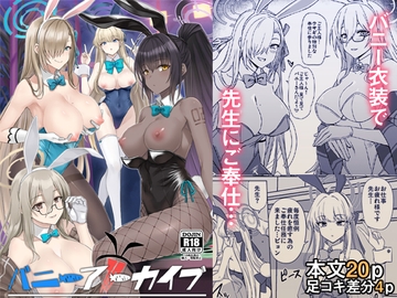 バニーアーカイブ [みならい本舗]