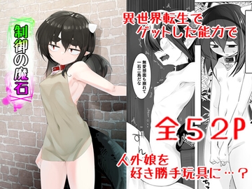 制御の魔石 [金画輪]