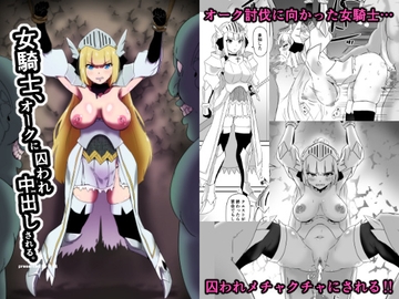女騎士、オークに囚われ中出しされる。 [十砲屋]