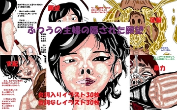 ふつうの主婦の隠された願望 [とらんぷる]