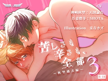 苦しさも辛さも、全部3～秋埜過去編～ [Ruhe Schutz]