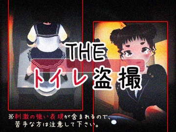 THE・トイレ盗撮 [仮想現実少女]