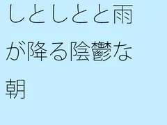 しとしとと雨が降る陰鬱な朝