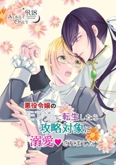 悪役令嬢のモブ兄に転生したら攻略対象に溺愛されました [庚藍堂]