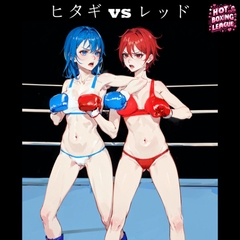 Hitagi vs Red [HotNCuteBoxing]