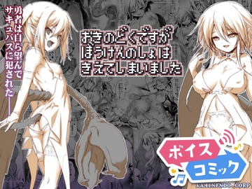 【ボイスコミック】おきのどくですがぼうけんのしょはきえてしまいました [DLボイコミ]