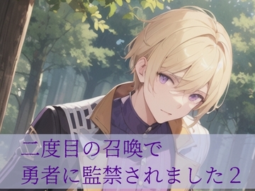 二度目の召喚で勇者に監禁されました2 [ねこっと庭園]
