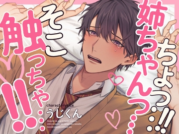 思春期で姉に反抗してくる弟のあそこをさりげなく触って、その気にさせて押し倒しセックス [うじ抹茶]