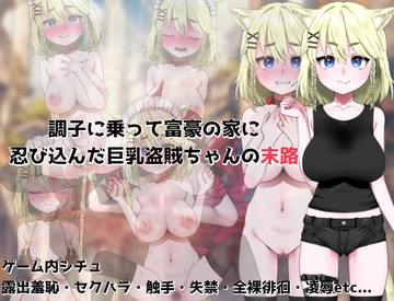 調子に乗って富豪の家に忍び込んだ巨乳盗賊ちゃんの末路 [路満]