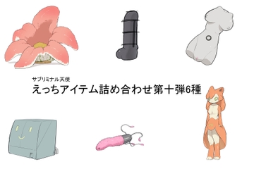 えっちアイテム詰め合わせ第十弾6種 [サブリミナル楽園]