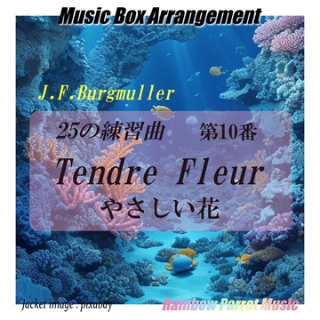 Burgmuller 「25の練習曲」より 「第10番 やさしい花」 Music Box ver. [Rainbow Parrot Music]
