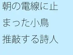 朝の電線に止まった小鳥 推敲する詩人