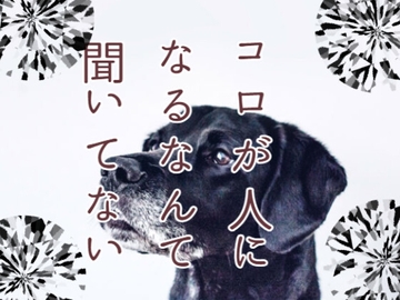 コロが人になるなんて聞いてない [ねこっと庭園]