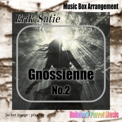 Erik Satie 「Gnossienne No.2」Music Box ver. [Rainbow Parrot Music]