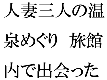 人妻三人の温泉めぐり 旅館内で出会った男の子と [逢瀬のひび]