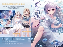 流る星-a Wish Star- [NANACAN]