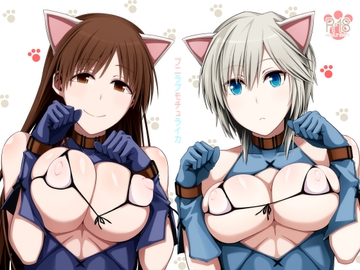 プニラブモチュライカ [海ニューロン]