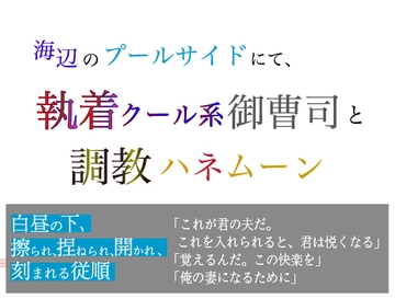 海辺のプールサイドにて、執着クール系御曹司と調教ハネムーン [美波]