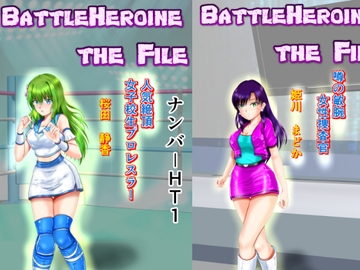 BattleHeroine The File V5 ナンバーHT1・HT2・HT3 [MzFist]