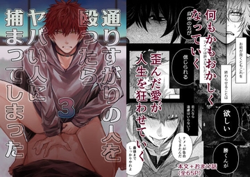 通りすがりの人を殴ったらヤバい人に捕まってしまった3 [赫狼]