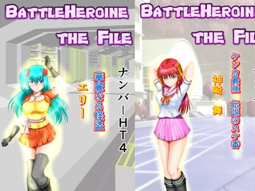 BattleHeroine The File V6 ナンバーHT4・HT5・HT6 [MzFist]