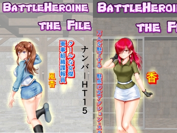 BattleHeroine The File V7 ナンバーHT15・HT20・HT25 [MzFist]