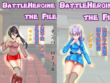 BattleHeroine The File V8ナンバーHT38・HT41・HT60 [MzFist]