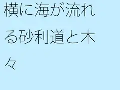 横に海が流れる砂利道と木々