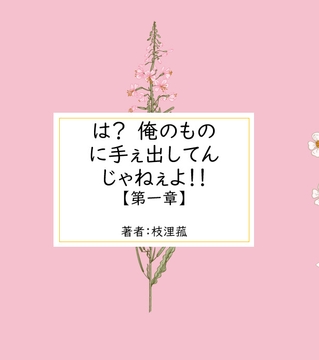 は? 俺のものに手ぇ出してんじゃねぇよ!!【第一章】 [枝浬菰]