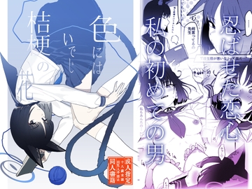 色にはいでじ桔梗の花 [ヨリドリミドリ]