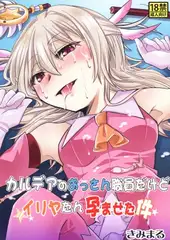 カルデアのおっさん職員だけどイリヤたん孕ませた件