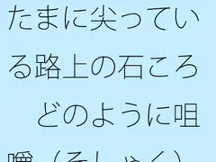たまに尖っている路上の石ころ どのように咀嚼(そしゃく)をして