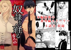 奴○を経る番外編 [Cozika]