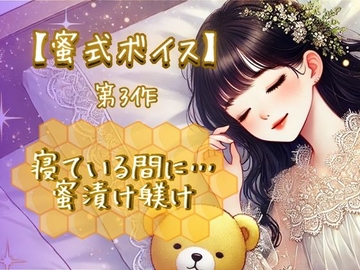 【蜜式ボイス】第3作「寝ている間に…蜜漬け躾け」脳イキ/子宮開発/男女両用/調教 [Aigan House]