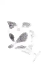 現代、ムジナの奇妙な話