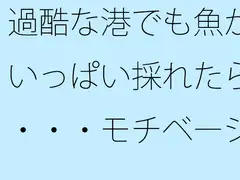 過酷な港でも魚がいっぱい採れたら・・・モチベーションと漁