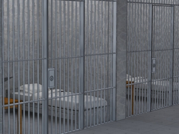 とある女子地下収容所の一コマ [野林檎の部屋]