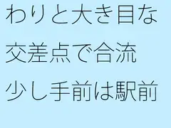 わりと大き目な交差点で合流 少し手前は駅前歩道の草むら・・・