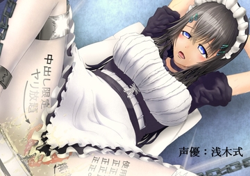 お屋敷メイドは肉便器 [オコジョ彗星]