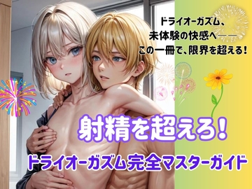 射精を超えろ! ドライオーガズム完全マスターガイド [ヒメゴト]