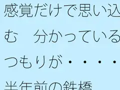 感覚だけで思い込む 分かっているつもりが・・・・半年前の鉄橋