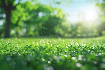 夏っぽい作業用BGM [巧雅bgm集]