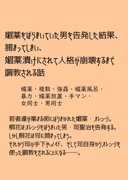 媚薬オレンジシリーズ 人格崩壊媚薬調教 桐花編・聖司編 [ゐおう書房]
