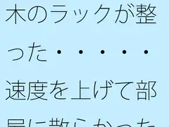木のラックが整った・・・・・速度を上げて部屋に散らかった石を整頓