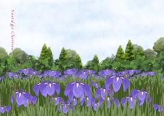 Nostalgic Cherries [きさゆき屋]