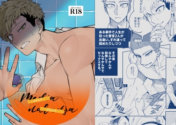 Media naranja [違法建築]