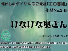 作品No.245 けなげな奥さん