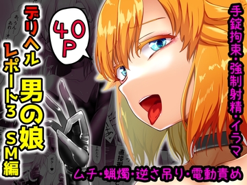 デリヘル男の娘レポート3 SMお仕事のボク [青星]